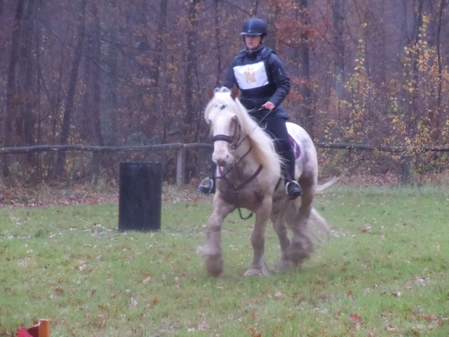 1er Trec de Flann le 07/11/10. Résultats et photos! Dscn0626