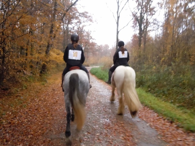 1er Trec de Flann le 07/11/10. Résultats et photos! Dscn0627