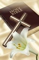 Allons à la messe 2ème dimanche de carême : Celui-ci est mon Fils bien-aimé » Bible110