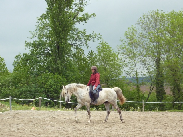 Dressage - Page 4 P1000614