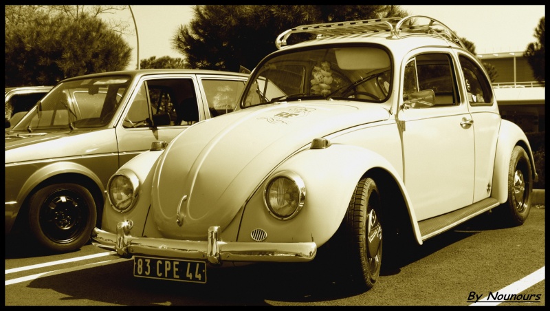 [44] Rencard VW de Saint-Nazaire,New  Photos P 13 !!!!! Img_6624
