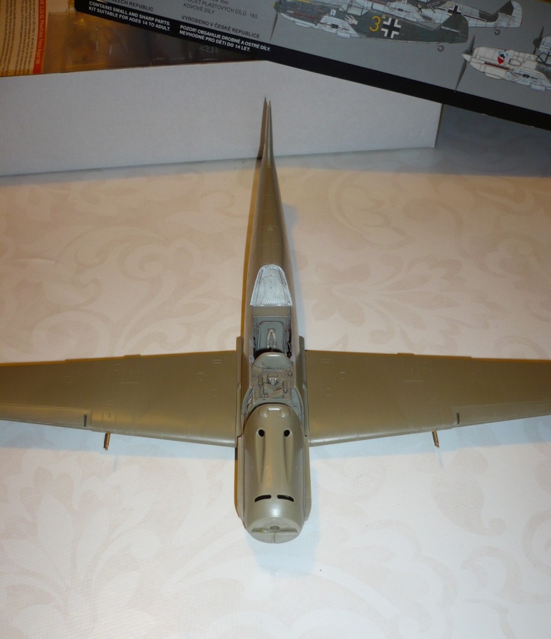 [Eduard] Messerschmitt BF 109E-3 - 1/32   - Page 2 P1050318