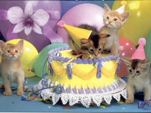Joyeux Anniversaire Lydie Page 2 Joyeux Anniversaire Lydie Page 2