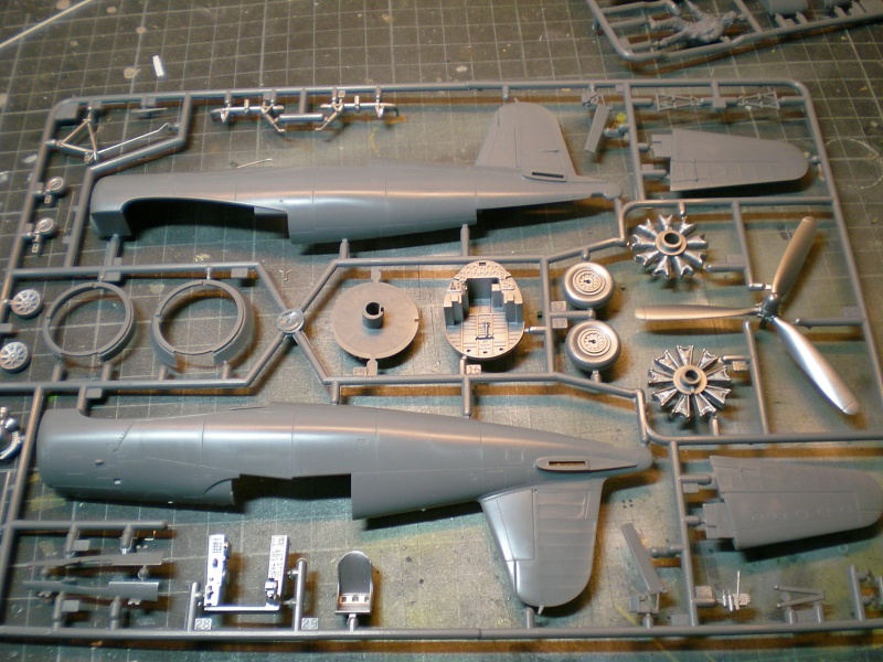 F4U1-D Corsair [tamiya] 1/48 (1 post 2 maquettes) Dscn4311
