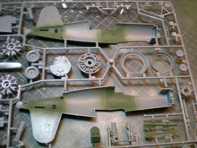 F4U1-D Corsair [tamiya] 1/48 (1 post 2 maquettes) Dscn4313