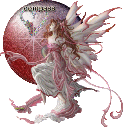 ~*¤®§(*§c o m p a ss§*)§®¤*~ˆ°