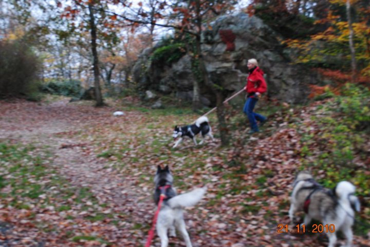 Balade et pic nic en foret de fontainebleau le 21 Novembre 2010 - Page 5 1410