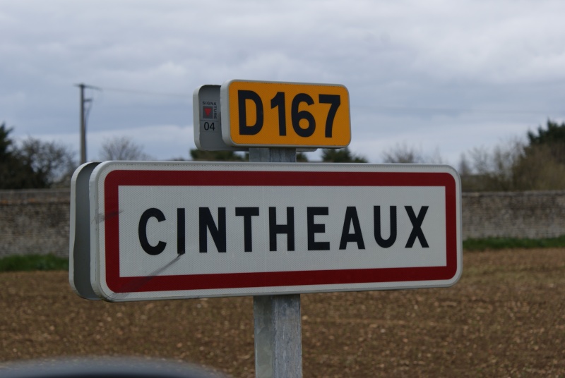 Cimetière Canadien de Cintheaux ( Normandie ) Jeepy_85