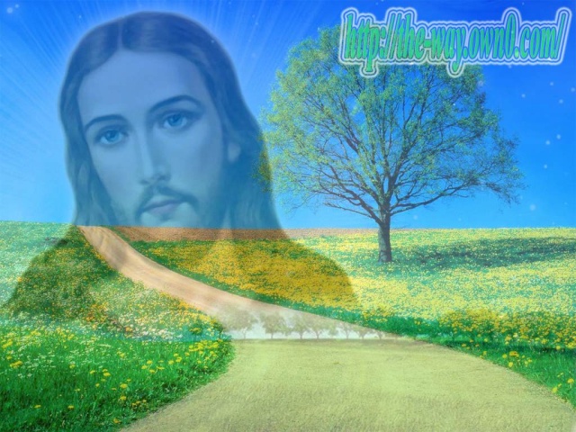 الطريق الى الله 