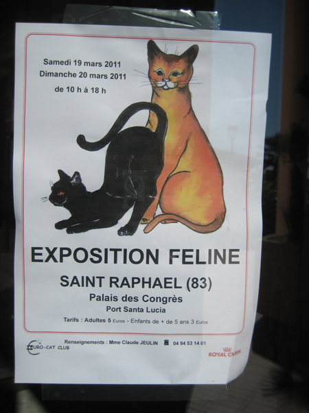 Exposition de Saint Raphaël, 19 et 20 mars 2011 (LOOF & TICA) Straph13