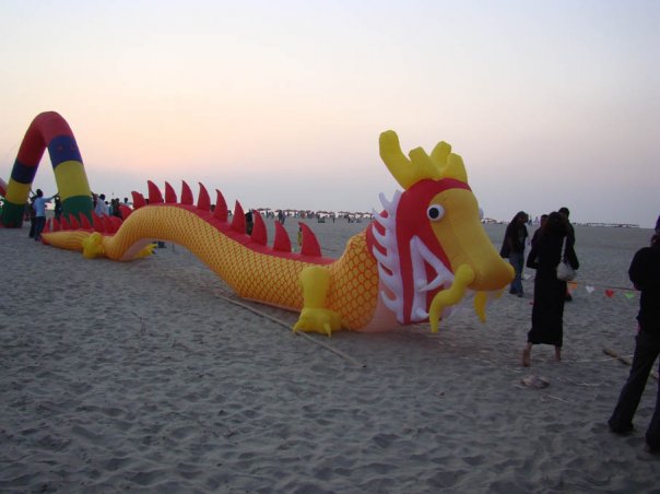 Kite Festival @ Cox's Bazar 25-01-2008 N5693218