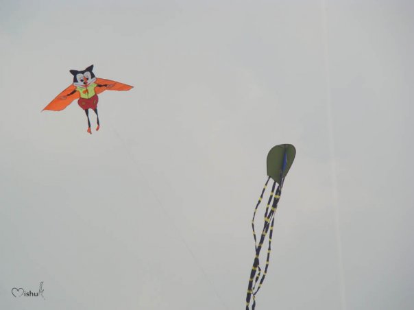 Kite Festival @ Cox's Bazar 25-01-2008 N5693230