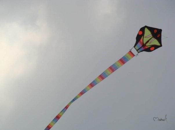 Kite Festival @ Cox's Bazar 25-01-2008 N5693231