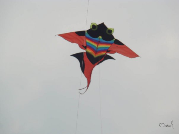 Kite Festival @ Cox's Bazar 25-01-2008 N5693233