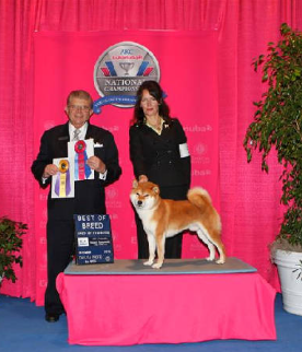 EUKANUBA 2010 2010-110