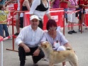 II Concurso Canino Ciudad de Albacete (2010) 27941_10