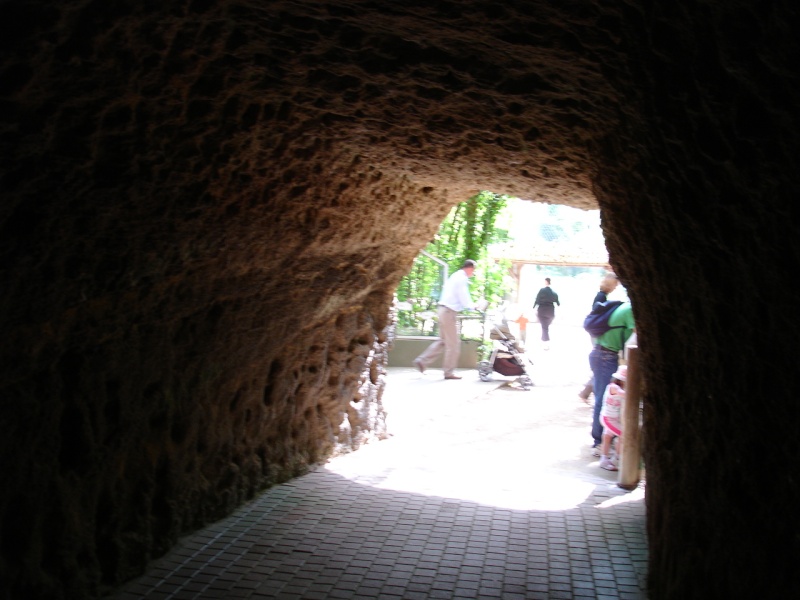 zoo façon troglodyte en maine et loire Dsc03411