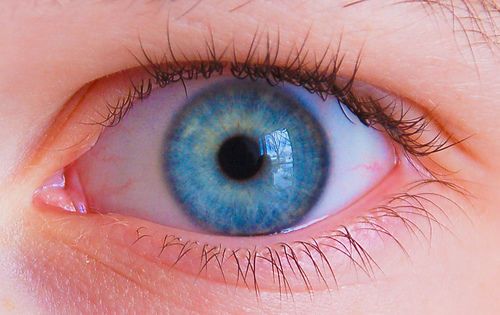 العيون الزرقاء ليست زرقاء.. لا وجود لعيون زرقاء من الأساس 14094710