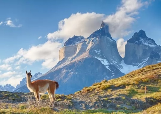 جبال الأنديز أطول سلسلة جبال في العالم  315