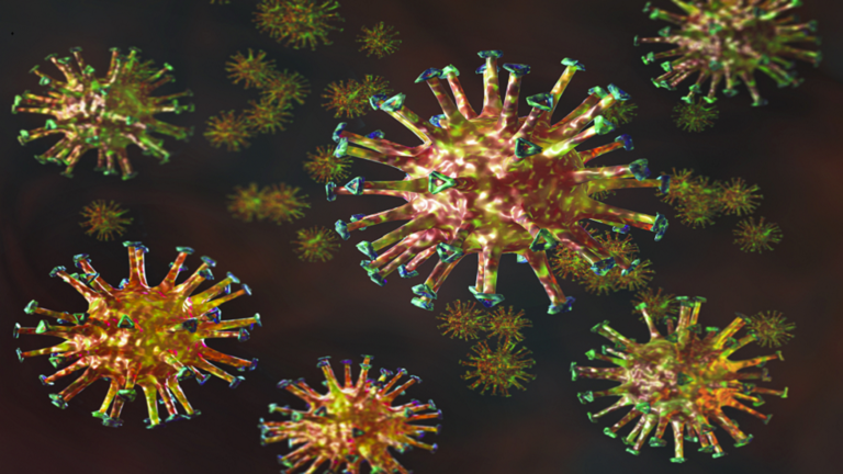 إطلاق التصور الأكثر دقة وحداثة لفيروس كورونا مع الكشف عن هيكله الداخلي! (صور) 5faa6110