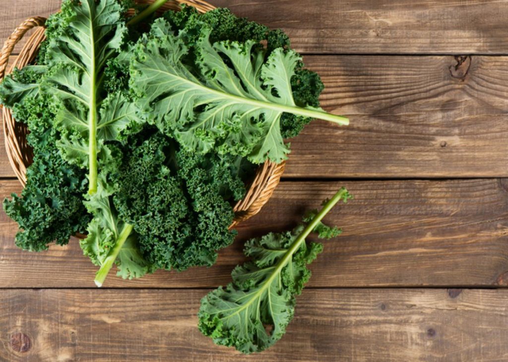 إليك قائمة بألذ الخضراوات قليلة الكربوهيدرات التي تستطيع تناولها في نظامك الغذائي! Kale-110
