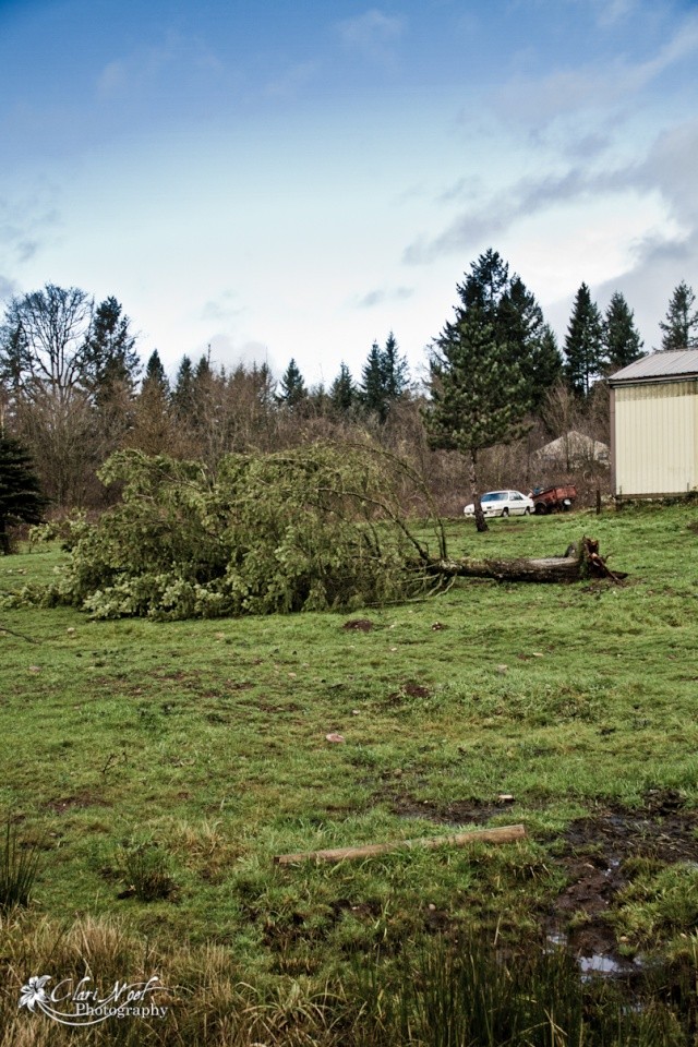 Wind at Its Extreme 20101271