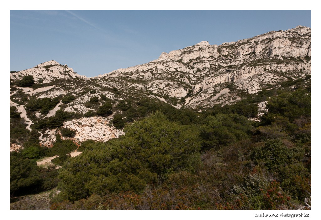 Calanques de Callelongue Dsc_7812