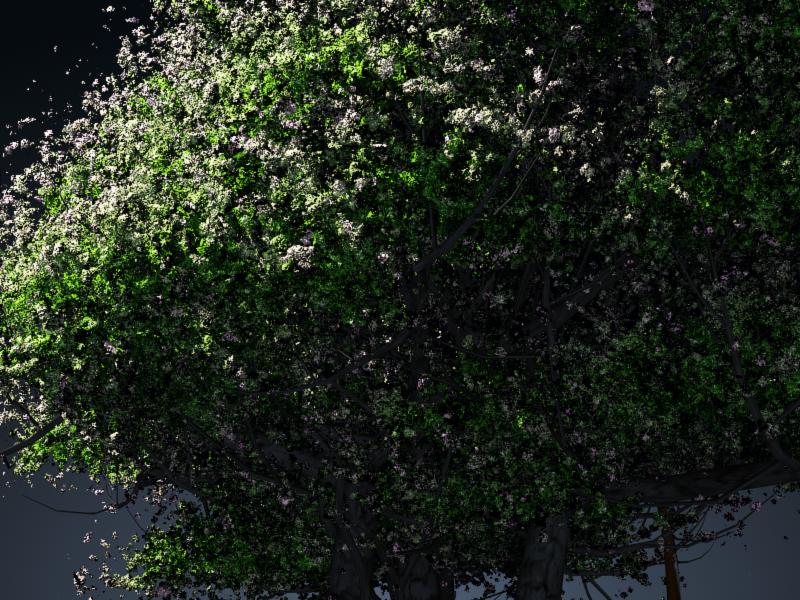 Mapping  Of trees with diffuse and Opacity in PLane Camera11