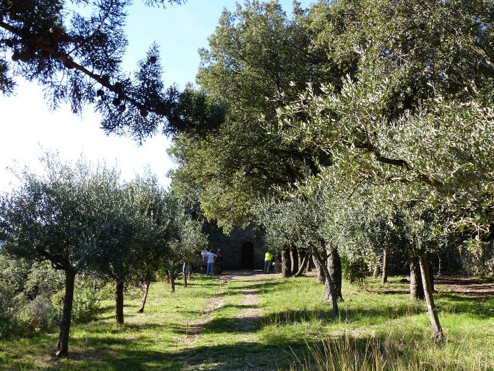 Randonnée plus calme de JM au Val le jeudi 25 Octobre 2018 00220