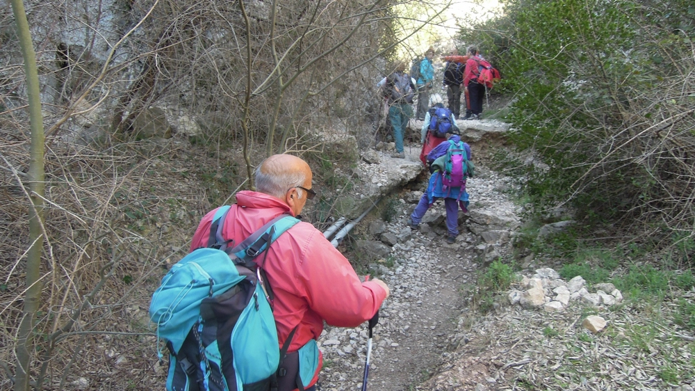 Randonnée groupe de JM et Gérard à St Remy de Provence le jeudi 14 mars  2019 00332