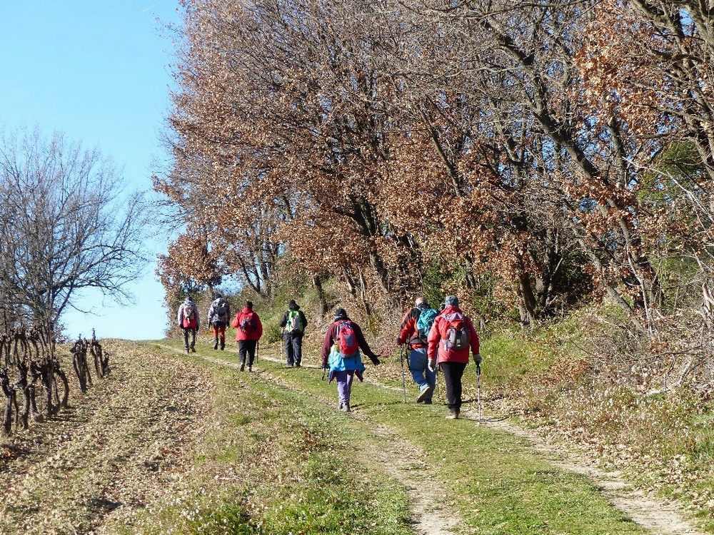 Randonnée groupe de JM à Lourmarin le jeudi 10 janvier 2019 00624