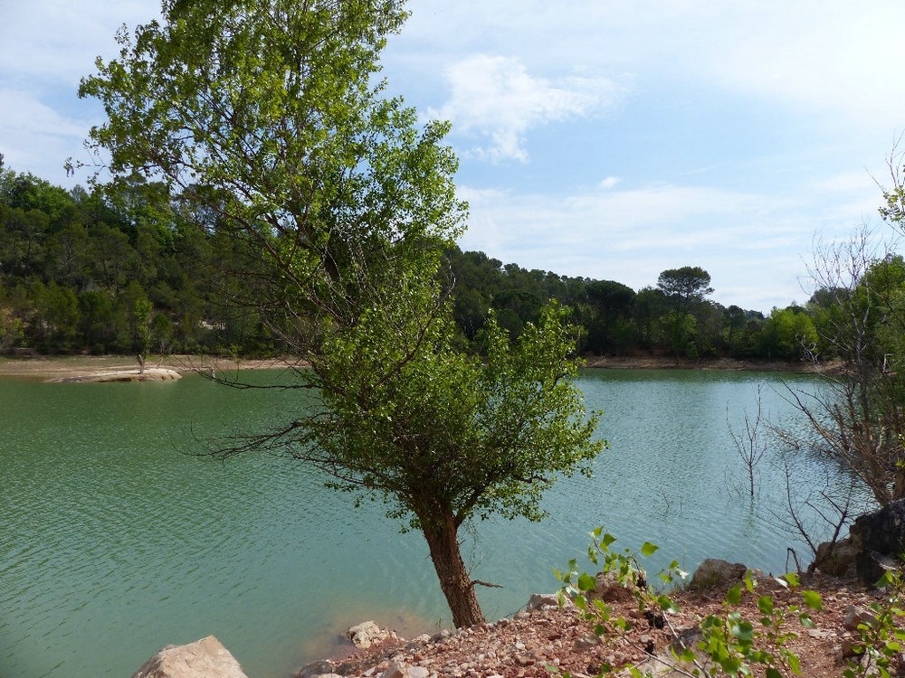 Randonnée groupe de JM et Gérard à Le Val le Jeudi 2 Mai  2019 00737