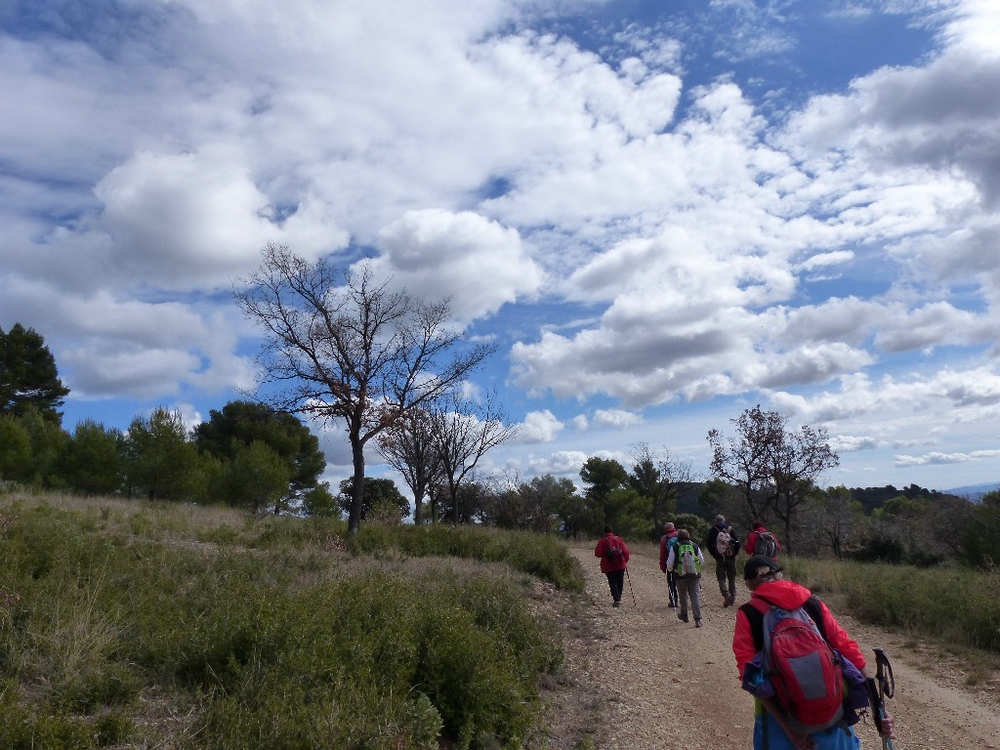 Randonnée groupe de JM et Gérard à Cabrière d' Aigues le jeudi 7 mars 2019 01330