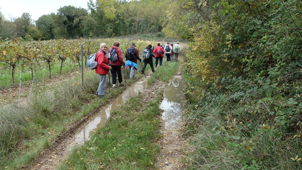 Randonnée groupe de JM et Gérard à Bras le jeudi 7 novembre  2019- Photos de Ghislaine et Fréderic 01847