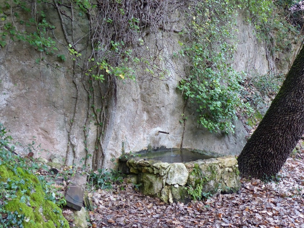 Randonnée groupe de JM à Correns le jeudi 17 janvier 2019 02320