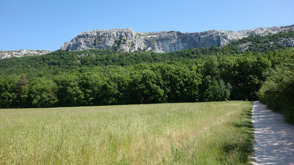 Randonnée groupe de JM et Gérard à la Ste Baume le jeudi 06 juin  2019 02527