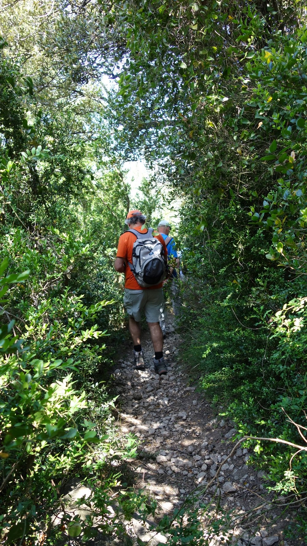 Randonnée groupe de JM et Gérard à Aygalières le jeudi 23 mai  2019 Dsc00217