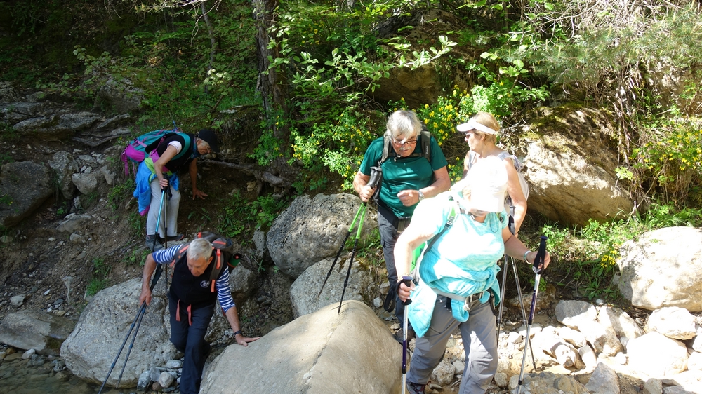 Randonnée groupe de JM et Gérard à Facibelle le jeudi 30 mai  2019 Dsc00616