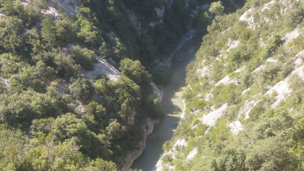 Randonnée plus calme de JM au Toulourenc le jeudi 28 juin 2018 Dscn1713