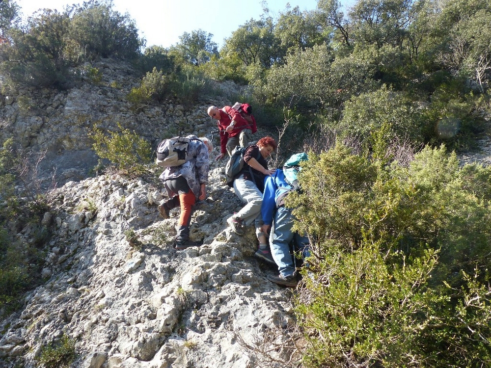 Randonnée groupe de JM a la Sénancole le Jeudi 21 Février 2019 P1110320