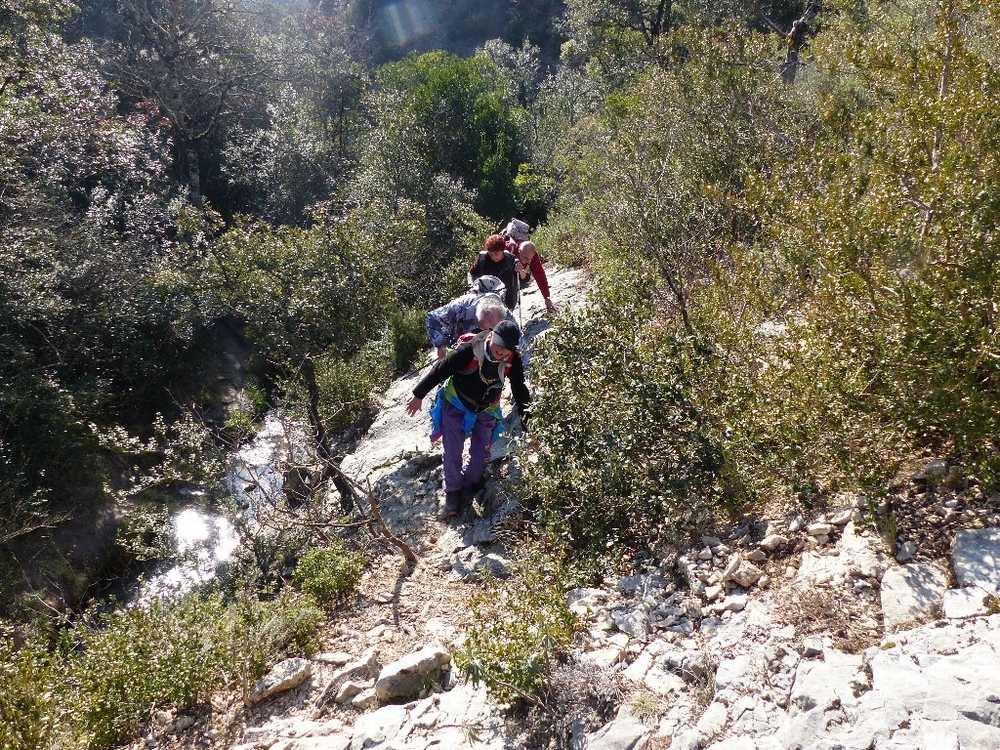 Randonnée groupe de JM a la Sénancole le Jeudi 21 Février 2019 P1110323