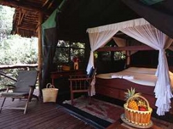 Kenya   Lodge/Campi tendati a Samburu, Buffalo Spring e Shaba Sambur13