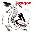 Dragon 2009 Dragon10