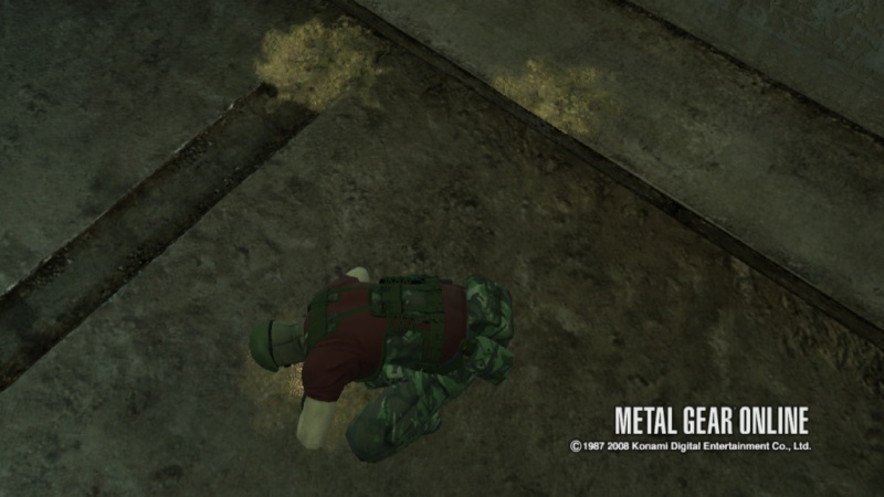 Funniest MGO Pictures Blood_11
