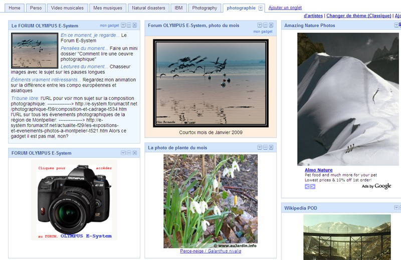 Commentaires sur le concours et photos hors concours du mois de MARS 2009 - Page 2 Igoogl10