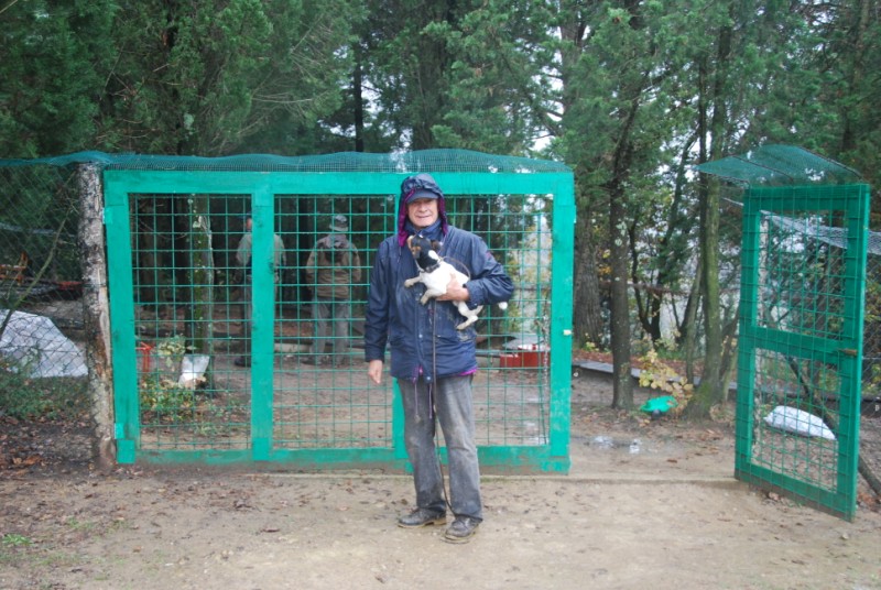 Domenica 21 novembre 2010: Prova in Tana su Volpe Tipo A e Bhfk95 per Terrier a Montespertoli (FI) - Pagina 2 Dsc_6615
