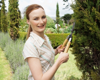 Kebiasaan Berkebun Buat Orang Lebih Optimis Garden10