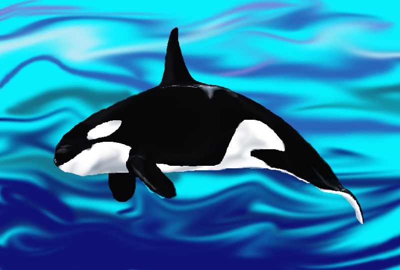 My original art Whale10