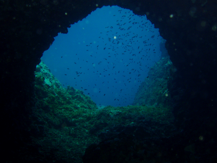 Immersioni Salento:Santa maria al Bagno (LE) - Le 4 Colonne Grotta11