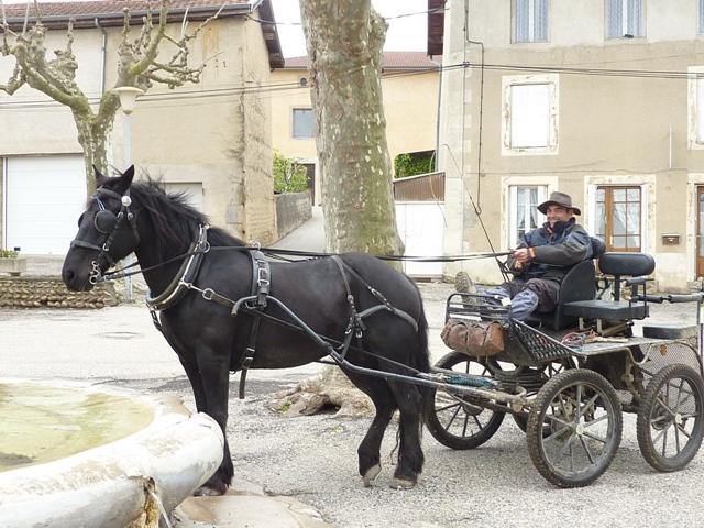 Rando du côté d'Hauterives. P1000822